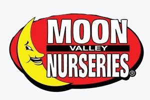 Logo for Moon Valley.