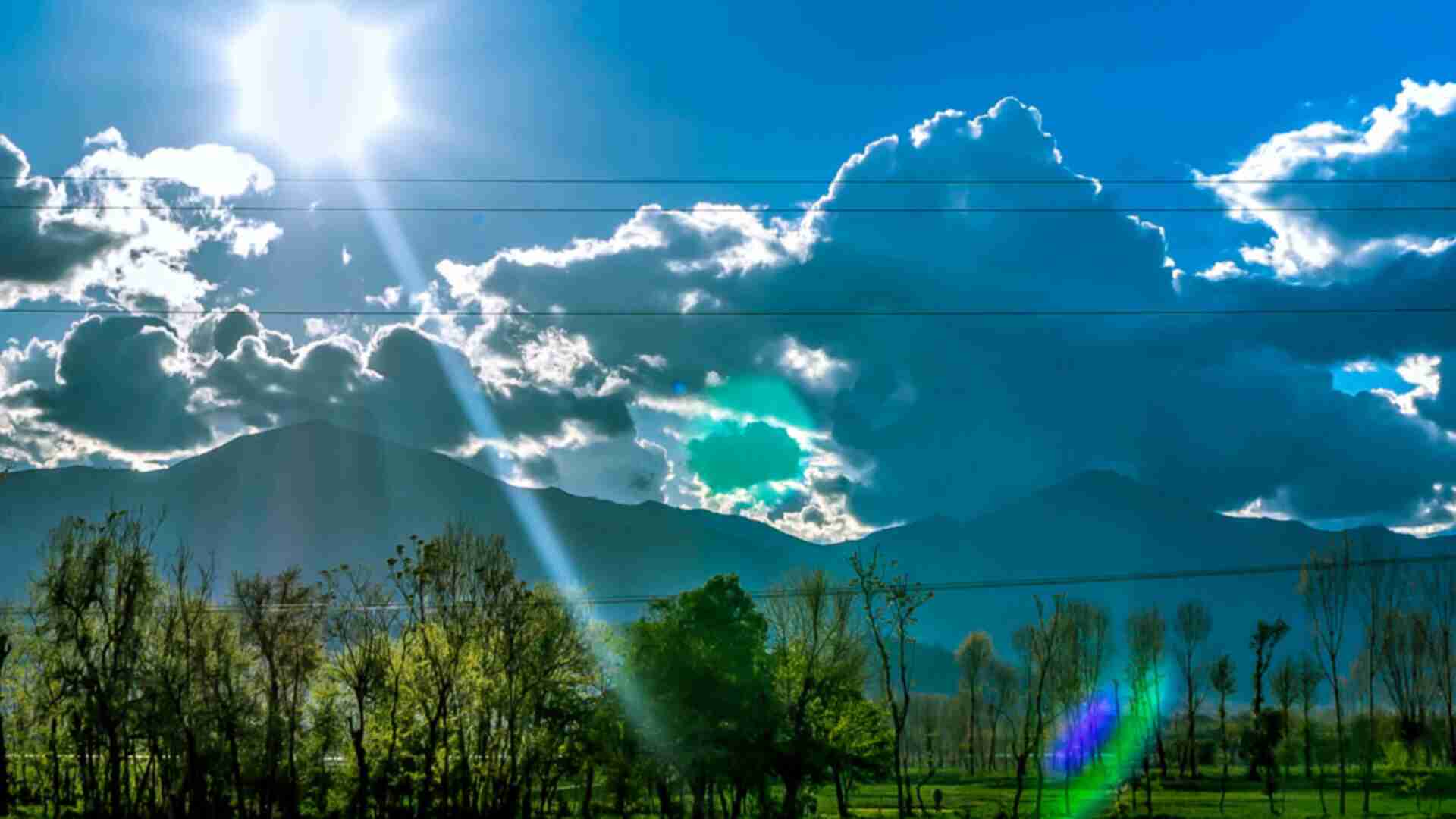 Picture of cloudy sky above a forest.
