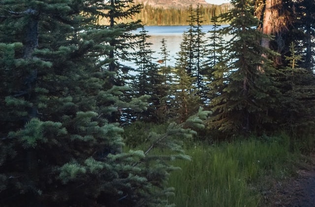 Image of a park.