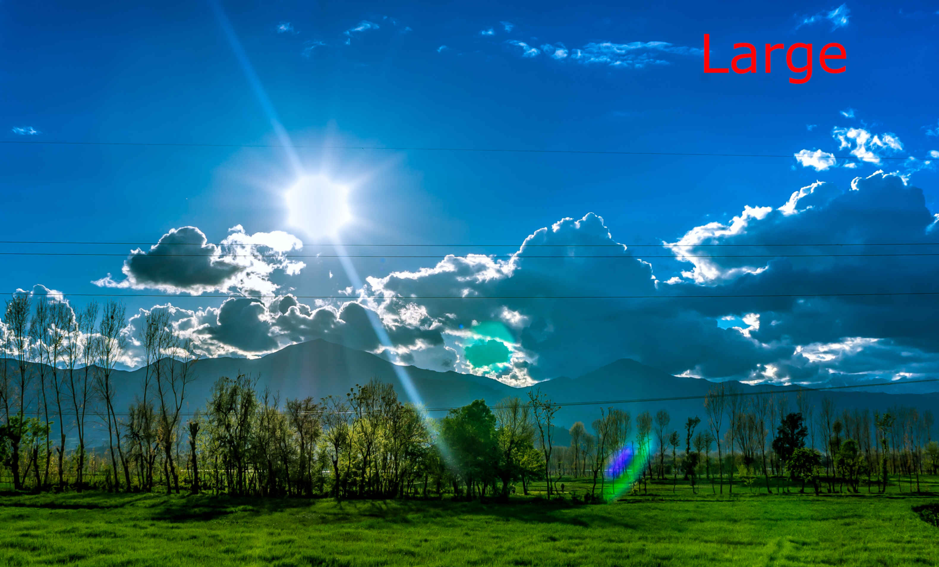 Picture of cloudy sky above a forest.