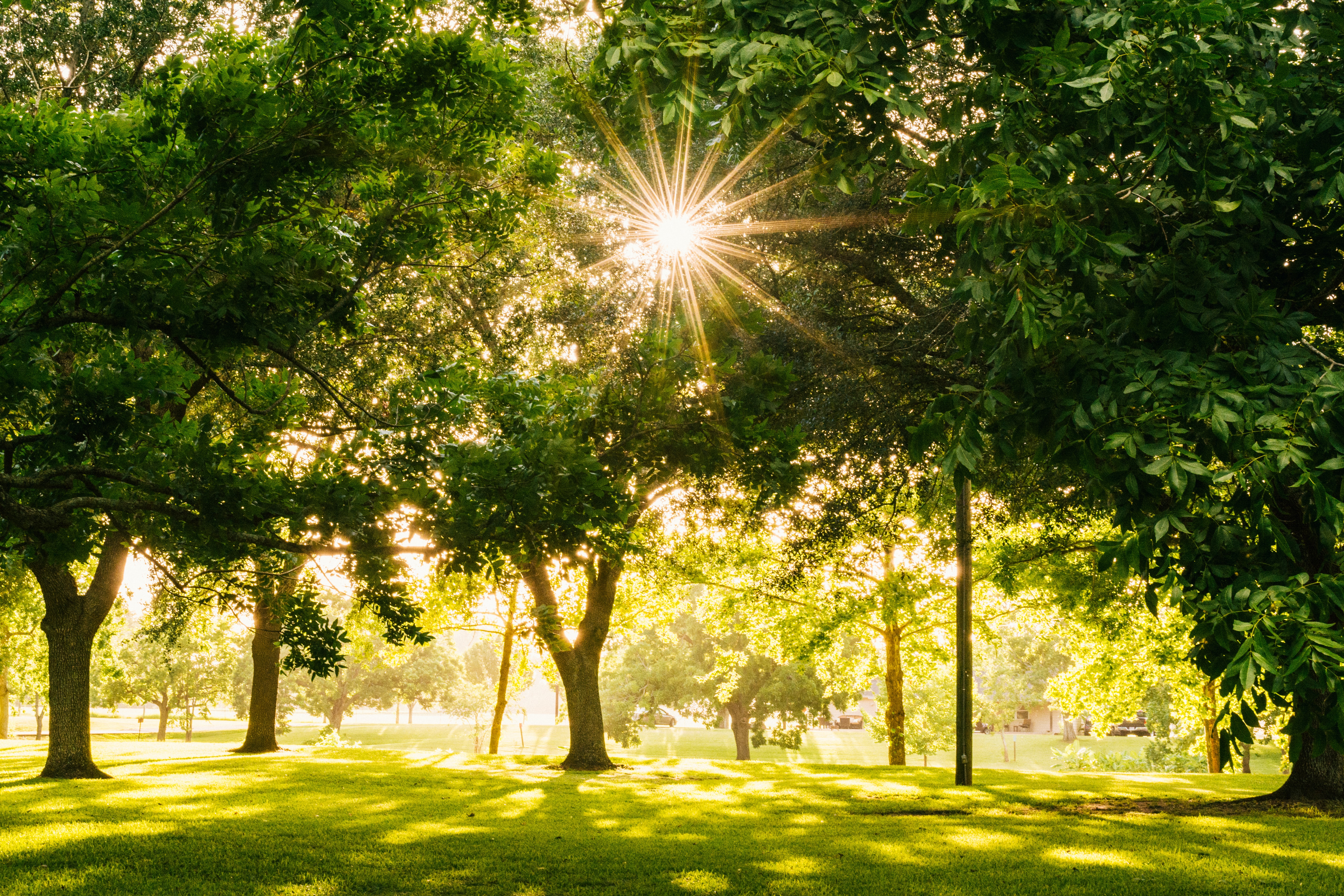 Image of a park.
