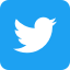 Twitter Icon.